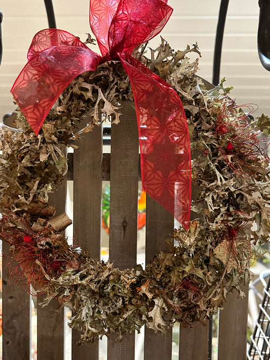 1. Brødlavkrans 25-30cm